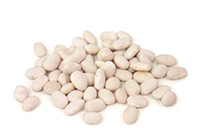 Norica Food Egyptian Supplier for pulses, beans, basil, white beans