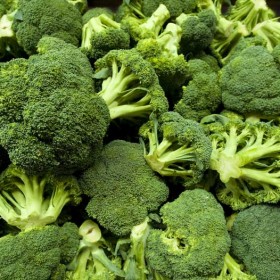 export and import egyptian Broccoli