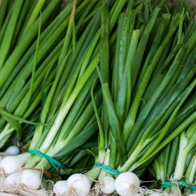 Egyptian Spring Onion