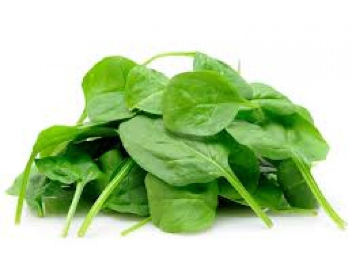 Egyptian Spinach
