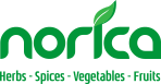 Norica Store
