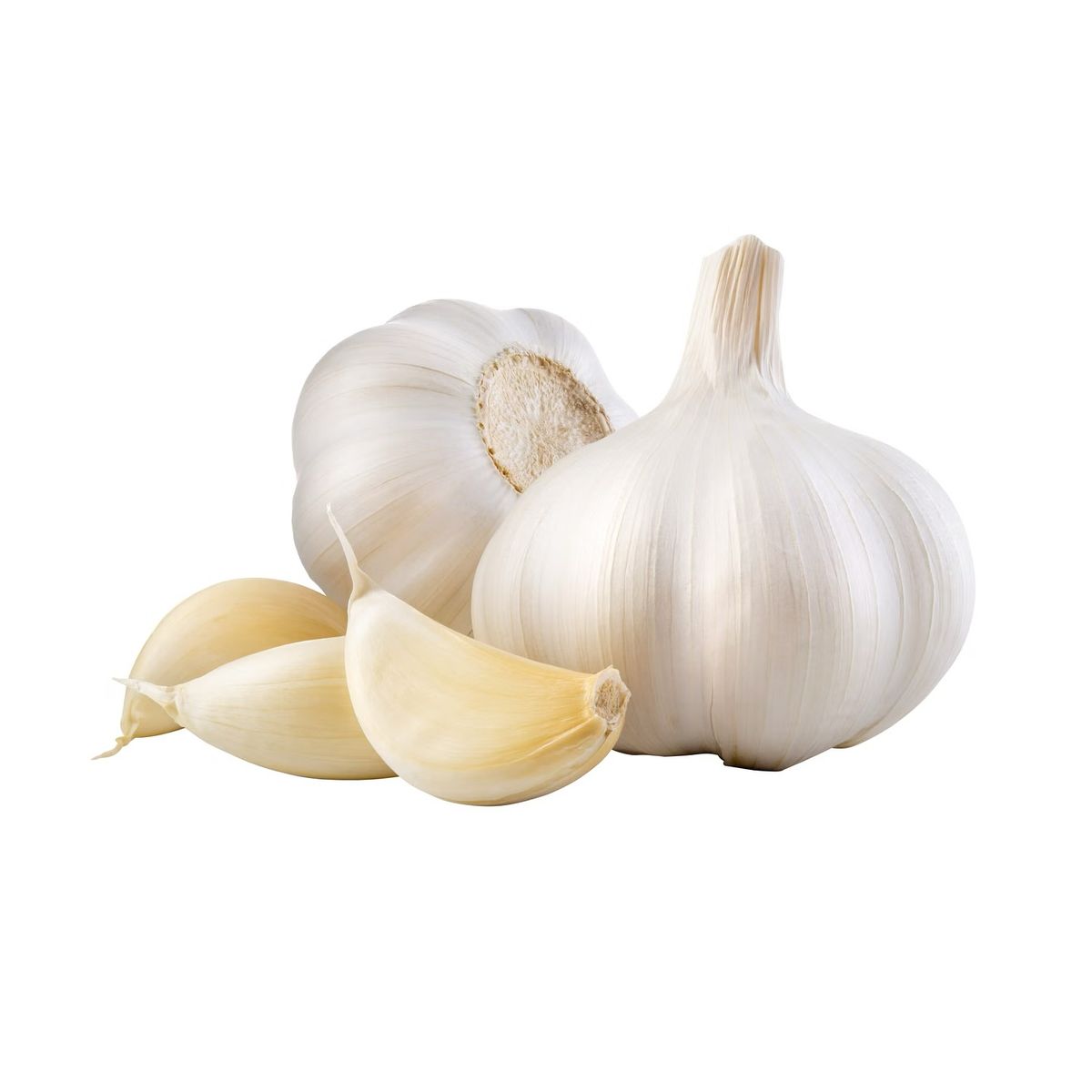 Egyptian Garlic