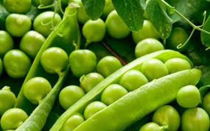 Egyptian Green Peas