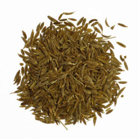 export and import egyptian Cumin