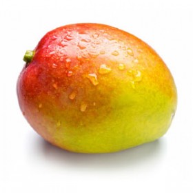 export and import egyptian Mango