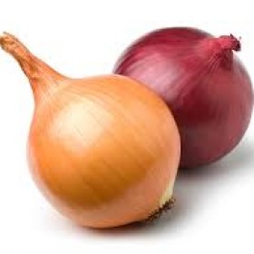 export and import egyptian onions
