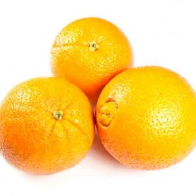 Export and Import Egyptian Orange