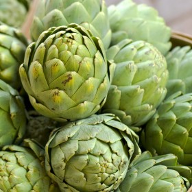 export and import egyptian Artichoke