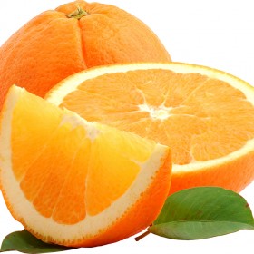 Egyptian Orange Valencia