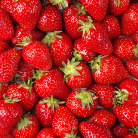 export and import egyptian Strawberries