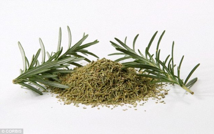 Egyptian Rosemary