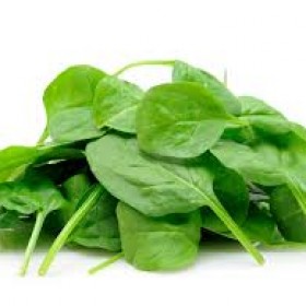 Egyptian Spinach
